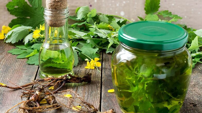 celandine - a folk remedy for the treatment of fungal infections on the legs